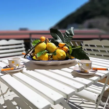 Living Vacanze
